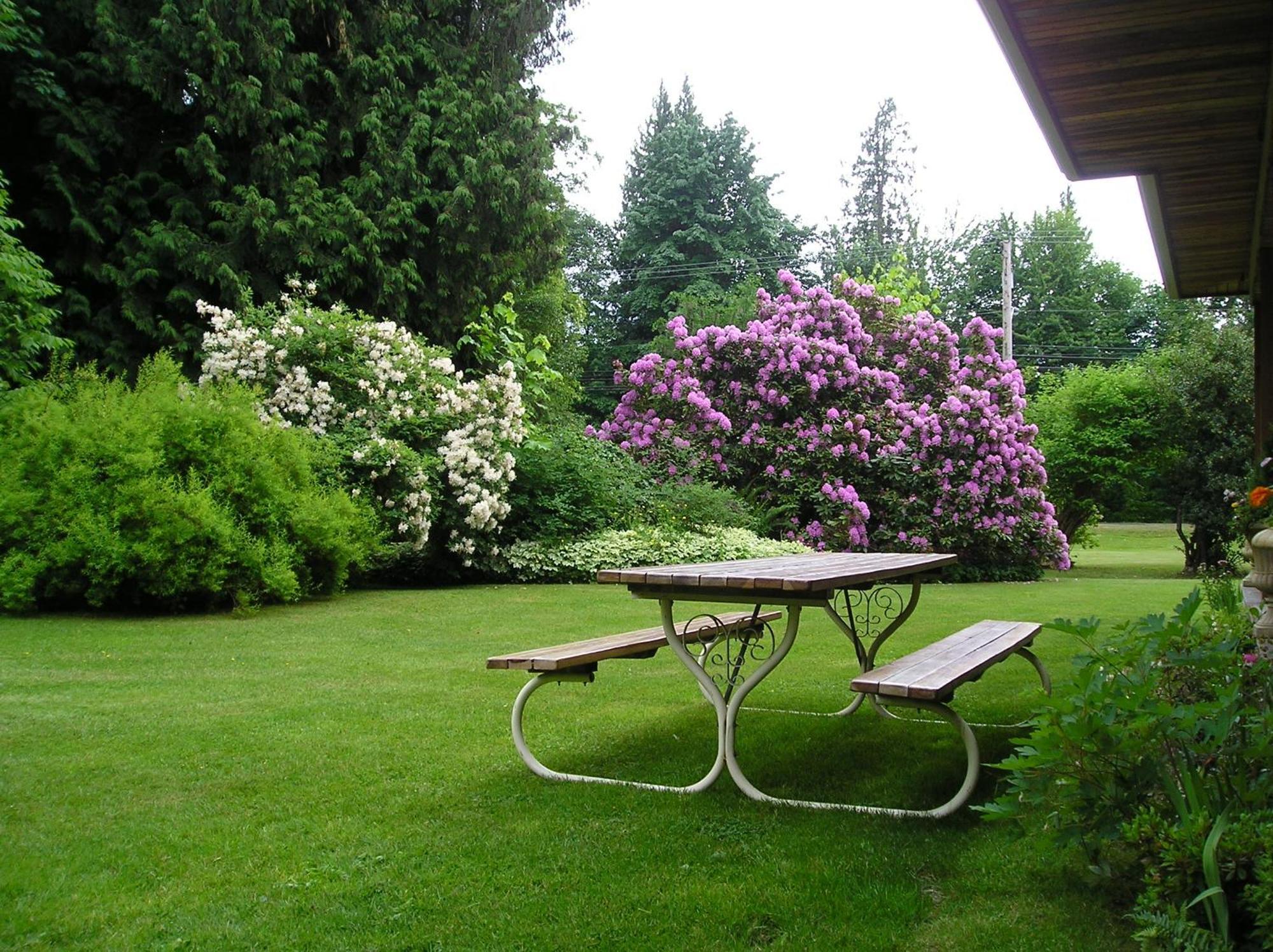 Cedar Wood Lodge Bed & Breakfast Inn Πορτ Άλμπερνι Εξωτερικό φωτογραφία