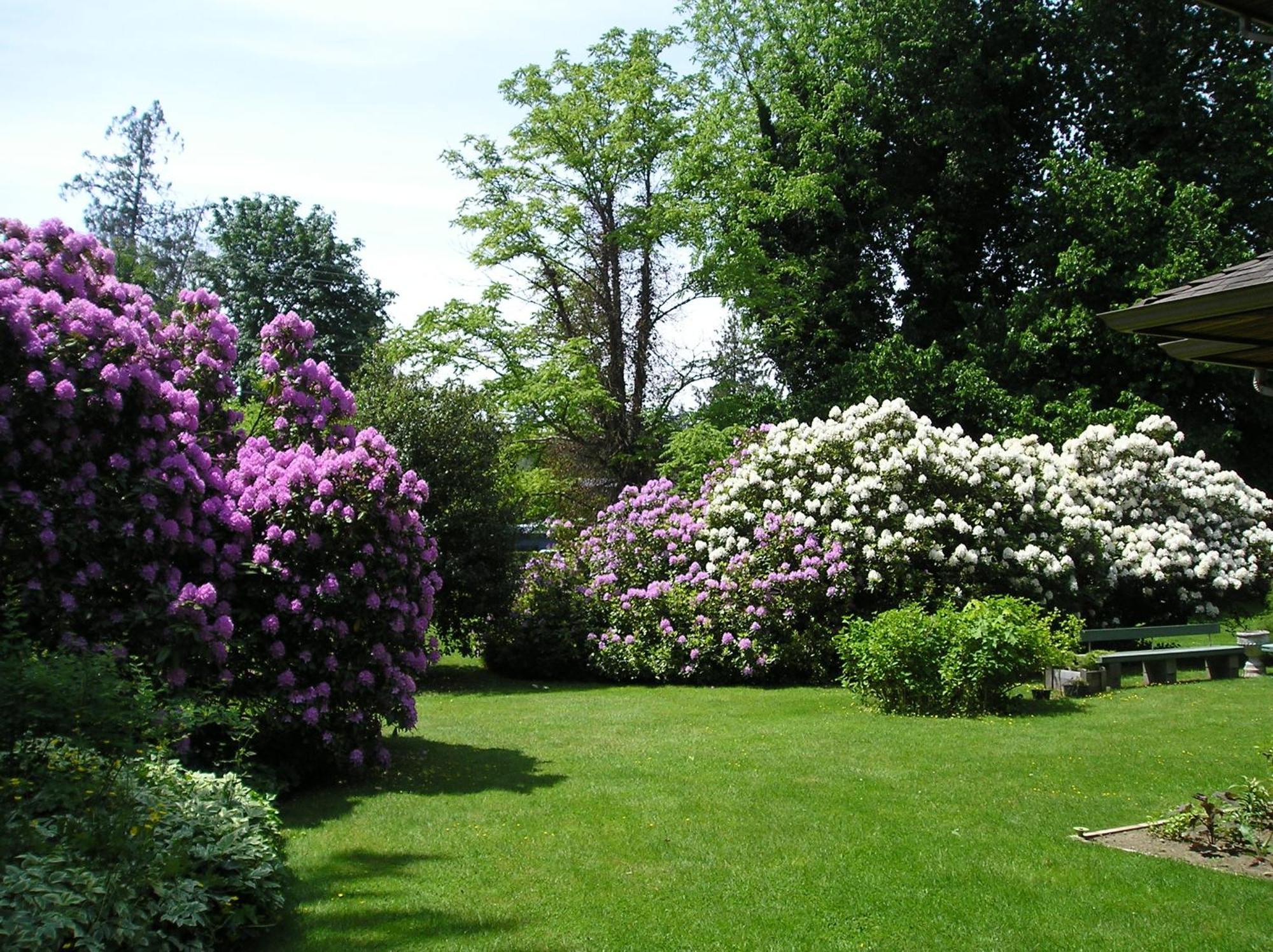Cedar Wood Lodge Bed & Breakfast Inn Πορτ Άλμπερνι Εξωτερικό φωτογραφία