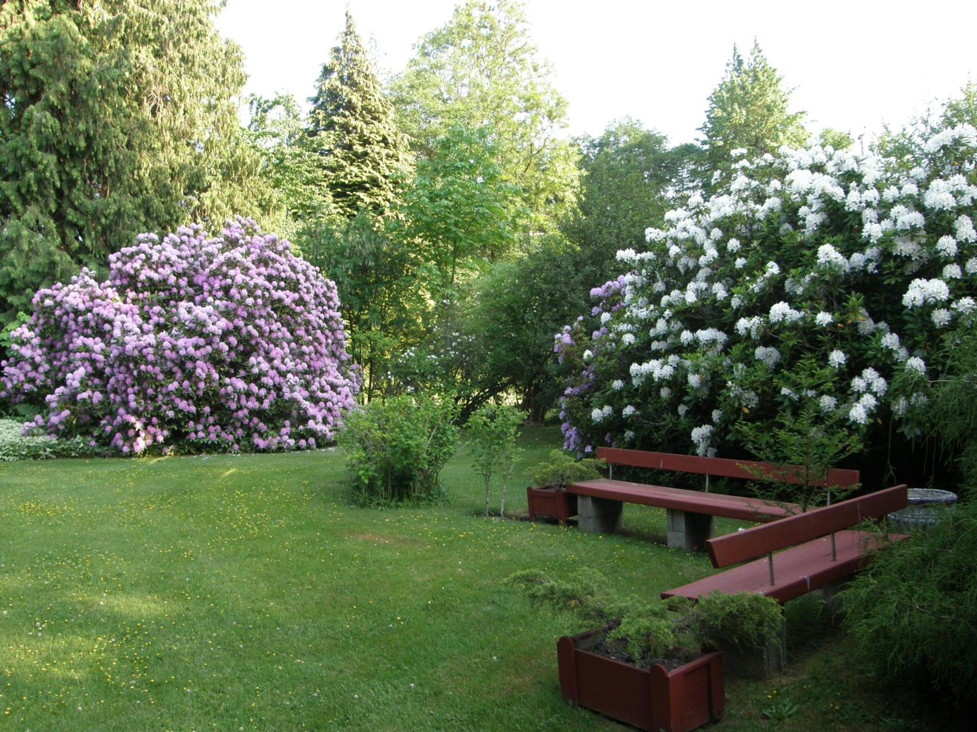 Cedar Wood Lodge Bed & Breakfast Inn Πορτ Άλμπερνι Εξωτερικό φωτογραφία