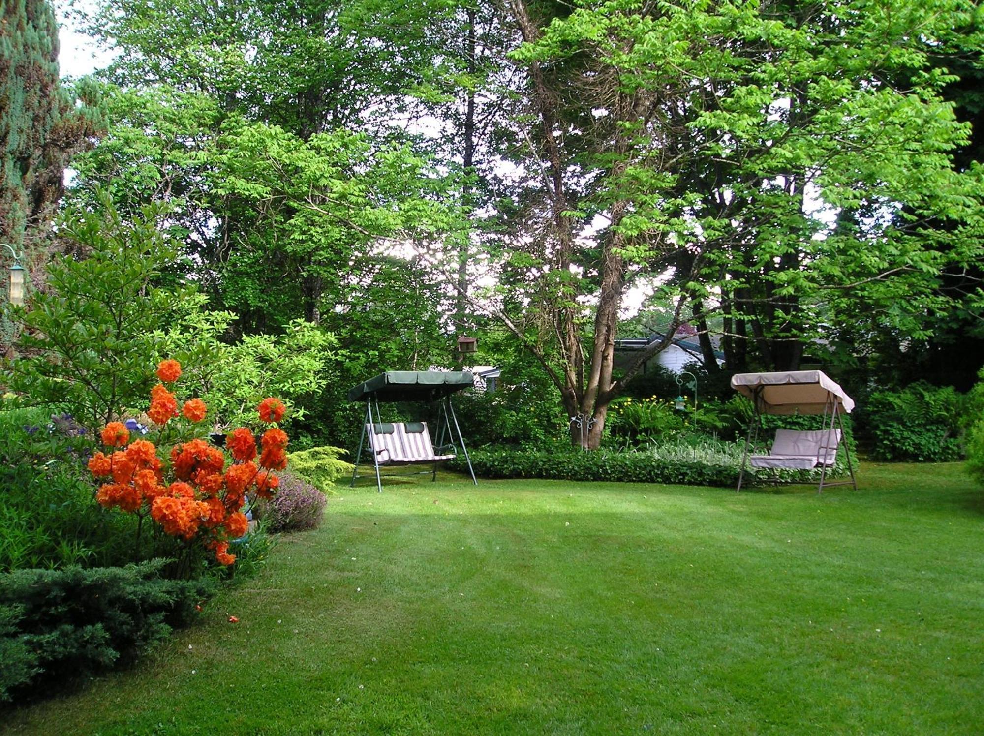 Cedar Wood Lodge Bed & Breakfast Inn Πορτ Άλμπερνι Εξωτερικό φωτογραφία