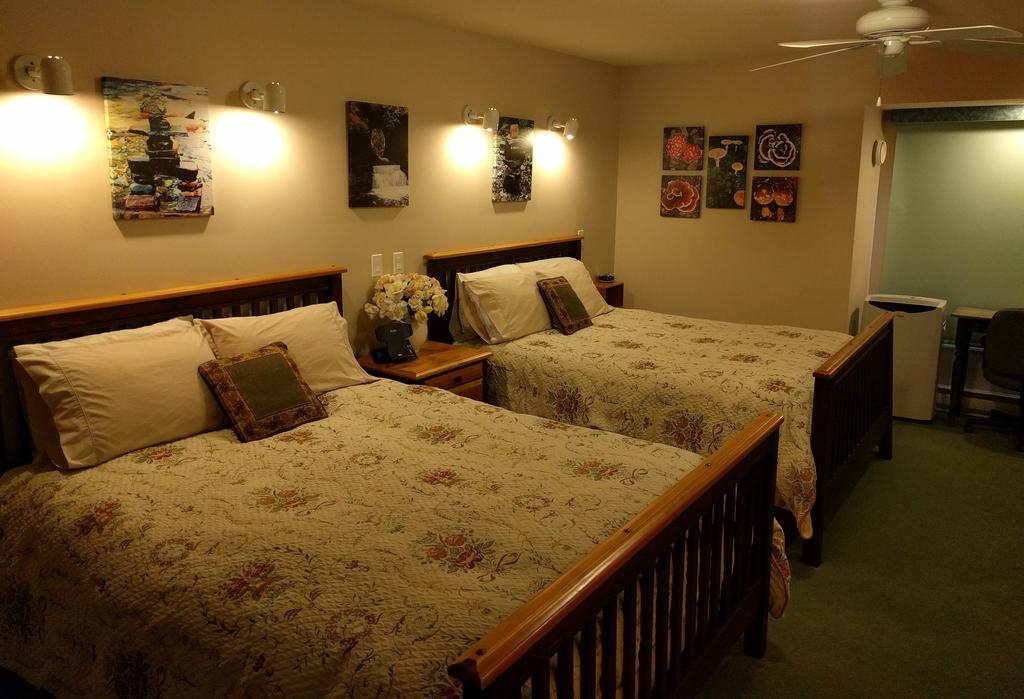 Cedar Wood Lodge Bed & Breakfast Inn Πορτ Άλμπερνι Εξωτερικό φωτογραφία